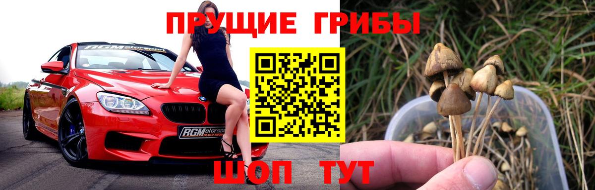 Михайловск  Псилоцибиновые грибы ЛСД  Вход с VPN 